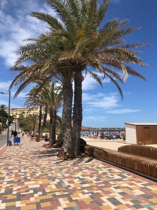 Casa Andres. Two Bed Penthouse Pool & Terrace Apartment Alicante Exterior photo